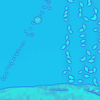 xshcm thu 2