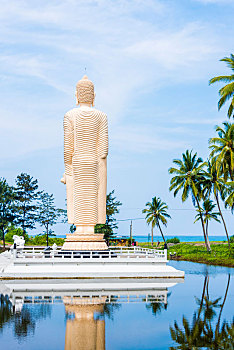 cầu kép miền bắc