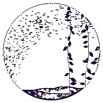 soi câu miễn phí