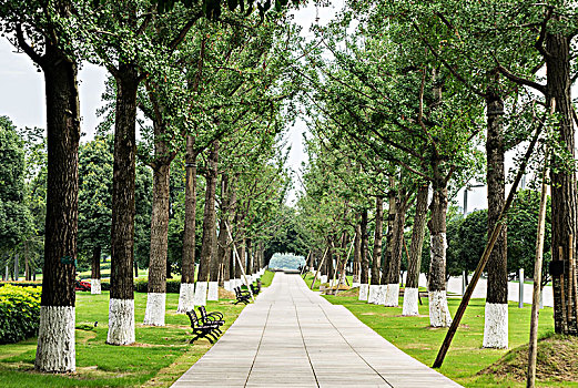 lô bạch thu khung 2 ngày