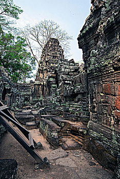 bạch thủ