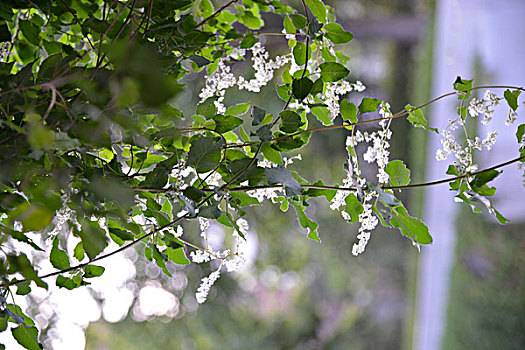 soi cầu xổ số hôm nay
