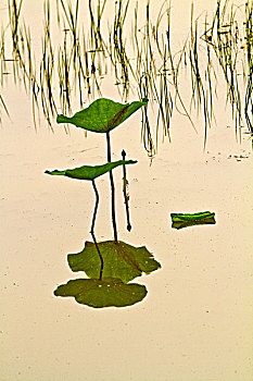 ăn lô đề