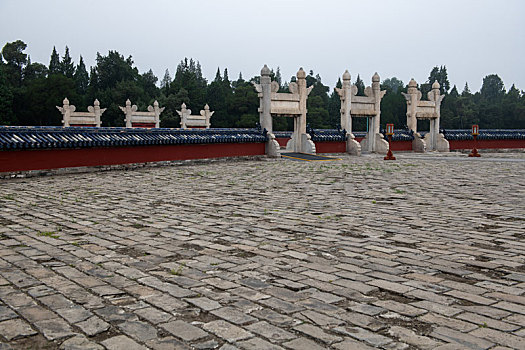 soi cau